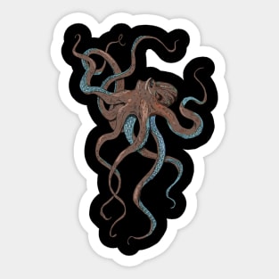 Octopus Sticker